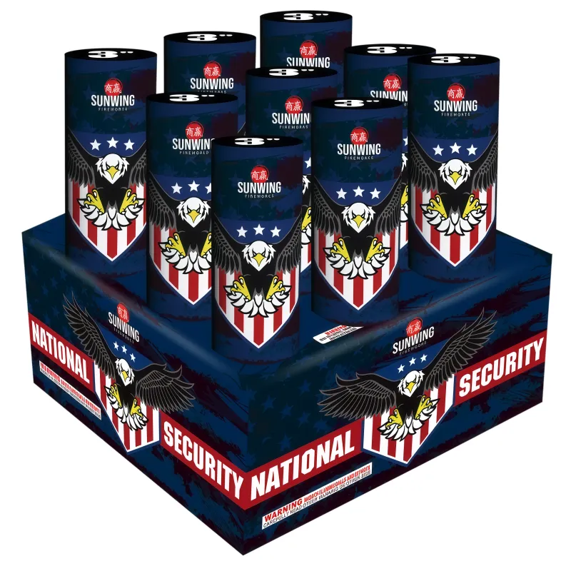 NATIONAL SECURITY